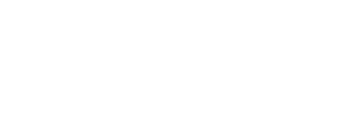 Logo Ameu